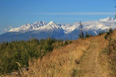 Cyklistická trasa Levočským pohorím, s výhľadom na Vysoké Tatry, CHALET Martuška, Levoča