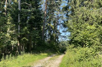 Cyklotrasa hrebeňom na Mariánsku Horu, CHALET Martuška, Levoča