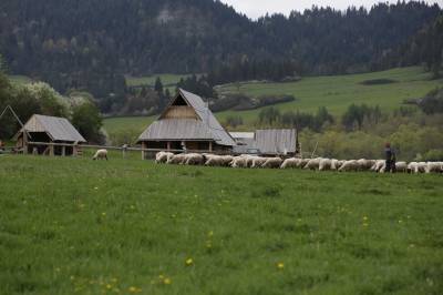 Salaš a všetky dobroty a domáce čapovane pivo len 500 metrov od domčeka, Domček v Pieninách, Majere