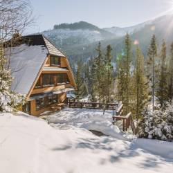 GREINER Boutique Mountain Chalet