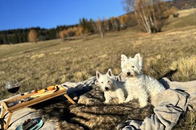 500 metrov- krásna okolitá príroda, Chalet Látky, Látky