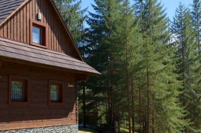Exteriér ubytovania v Jarabá / Mýto pod Ďumbierom, Jariabka Chalet Zrub Nízke Tatry, Jarabá