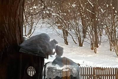 Chalupa u Golisov, Zákopčie