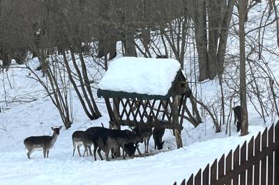 Chalupa u Golisov, Zákopčie