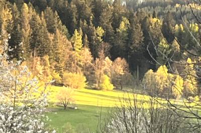 Chalupa u Golisov, Zákopčie