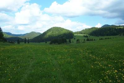 Okolie ubytovania v obci Telgárt, Rekreačný dom Horehronská kúria, Telgárt