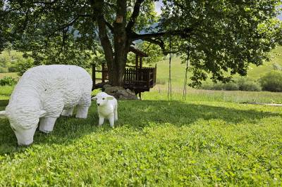 Drevenica Borovianka, Veľké Borové