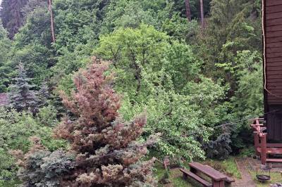 Chalupa U Dobrého Hospodára, Turík