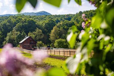 Exteriér ubytovania v obci Uličské Krivé, Chata pod Rožkom, Uličské Krivé