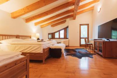 Spálňa s manželskou a 1-lôžkovou posteľou a TV, Alpinum Chalet High Tatras, Nová Lesná