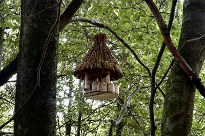 Treehouse Vtáčikovo, Kežmarok