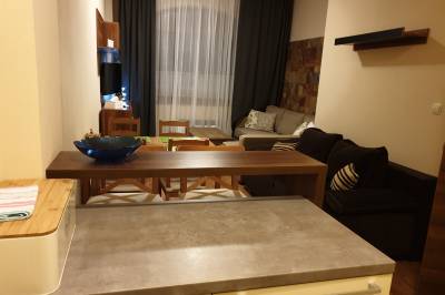 Kuchyňa prepojená s obývačkou, Apartmán 7, AD Kamzík Donovaly, Donovaly