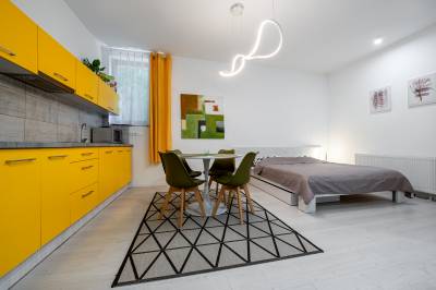 Apartmán B2 - plne vybavená kuchyňa a manželská posteľ, Chillgarden Apartments, Trenčín