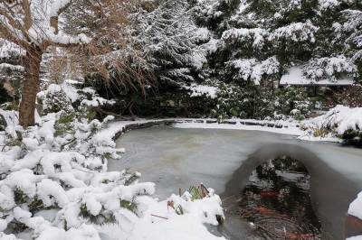 Exteriér ubytovania v obci Jedľové Kostoľany, Chata Relax, Jedľové Kostoľany