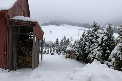 Exteriér v obci Reľov, Dovolenkový Dom Lutra Montana Pieniny***, Reľov