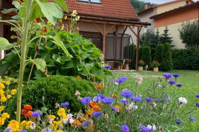 Kvety v exteriéri, Dovolenkový Dom Lutra Montana Pieniny***, Reľov