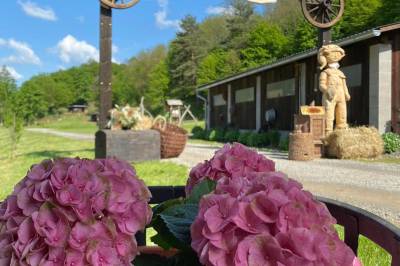 Exteriér ubytovania v obci Horné Hámre, Chata Pekný les, Horné Hámre