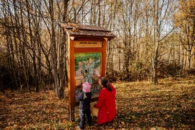 Náučný chodník, Chata Pekný les, Horné Hámre