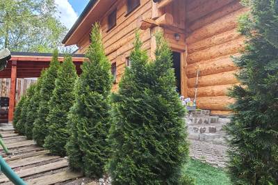 Exteriér ubytovania v obci Kostolná Ves, Kanadský zrub, Kostolná Ves