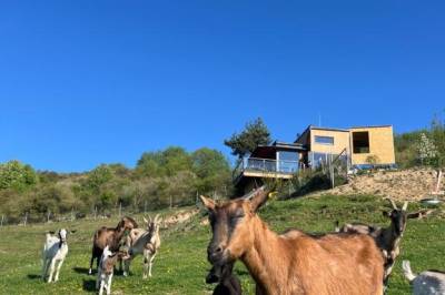 Exteriér ubytovania v Novej Ľubovni, Chata Dorotka na sosne, Nová Ľubovňa