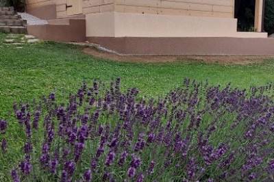 Exteriér ubytovania v Čiernom Balogu, Chalupa Aja, Čierny Balog