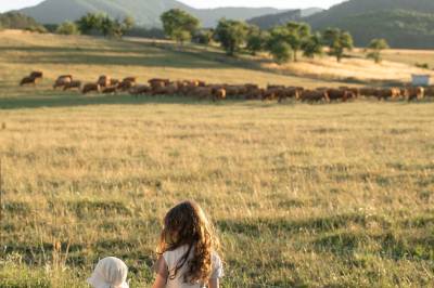 Okolie, Chaty ForRest, Valča
