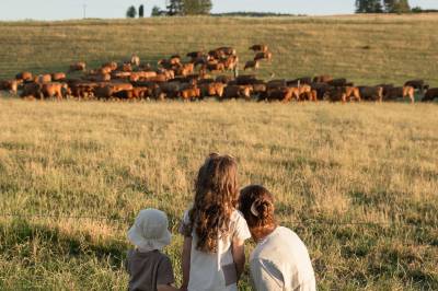 Okolie, Chaty ForRest, Valča