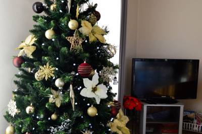 Vianoce, Ubytovanie Lenka, Matiašovce