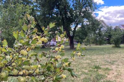 Záhrada, Chalupa v záhrade, Turčianske Teplice