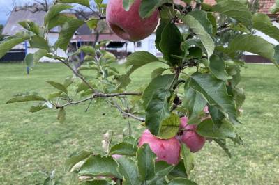Záhrada, Chalupa v záhrade, Turčianske Teplice