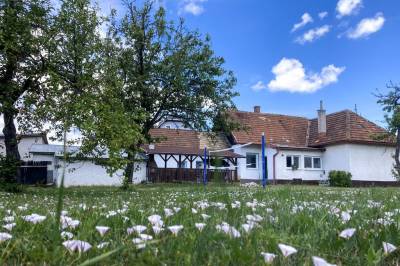 Exteriér ubytovania v Turčianskych Tepliciach, Chalupa v záhrade, Turčianske Teplice