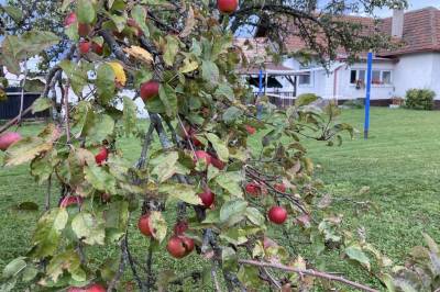 Záhrada, Chalupa v záhrade, Turčianske Teplice