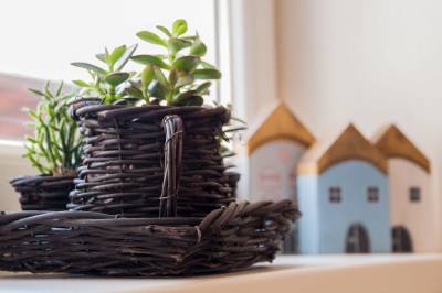 Dekorácie, Chalupa v záhrade, Turčianske Teplice