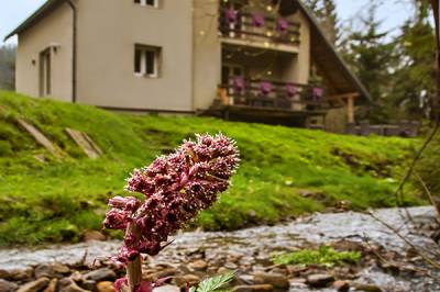 Exteriér ubytovania v Klokočove, Chalupa Klokočka, Klokočov
