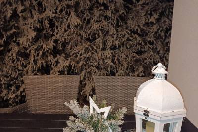 Vianoce, Domček pod lesíkom, Hôrka