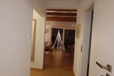 Vianoce, Domček pod lesíkom, Hôrka