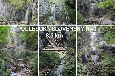 Domček pod lesíkom, Hôrka