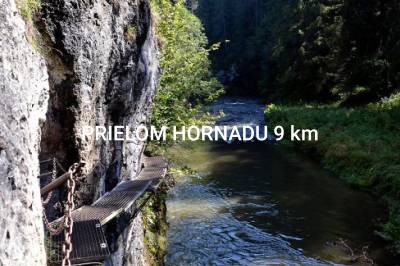 Domček pod lesíkom, Hôrka