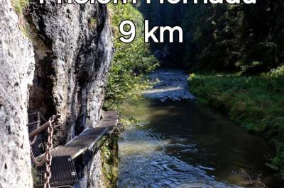 Domček pod lesíkom, Hôrka