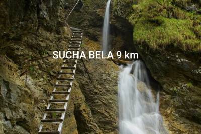 Domček pod lesíkom, Hôrka