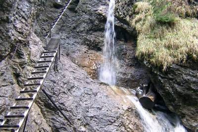 Domček pod lesíkom, Hôrka