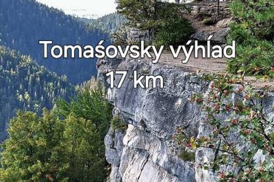 Domček pod lesíkom, Hôrka