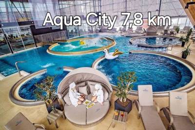 Domček pod lesíkom, Hôrka