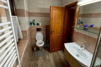 Kúpeľňa so sprchovacím kútom a WC, Chata Ovečka, Terchová
