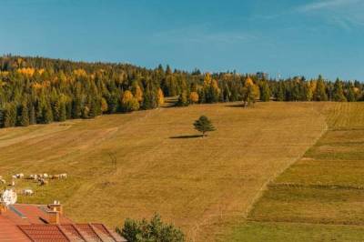 Exteriér ubytovania v Ždiari, Privát u Dany, Ždiar