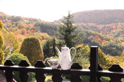 Modrá izba s balkónom, Chalúpka • The Cottage, Jedľové Kostoľany