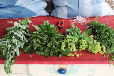 Záhrada, Chalúpka • The Cottage, Jedľové Kostoľany