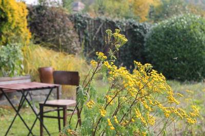 Záhrada, Chalúpka • The Cottage, Jedľové Kostoľany