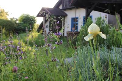 Záhrada, Chalúpka • The Cottage, Jedľové Kostoľany