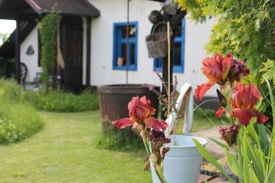 Záhrada, Chalúpka • The Cottage, Jedľové Kostoľany